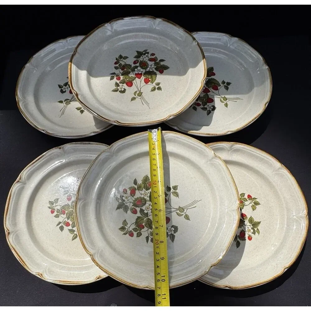 6 Vintage 1960’s Endura Collection LA FRAISE Strawberries 10.5
